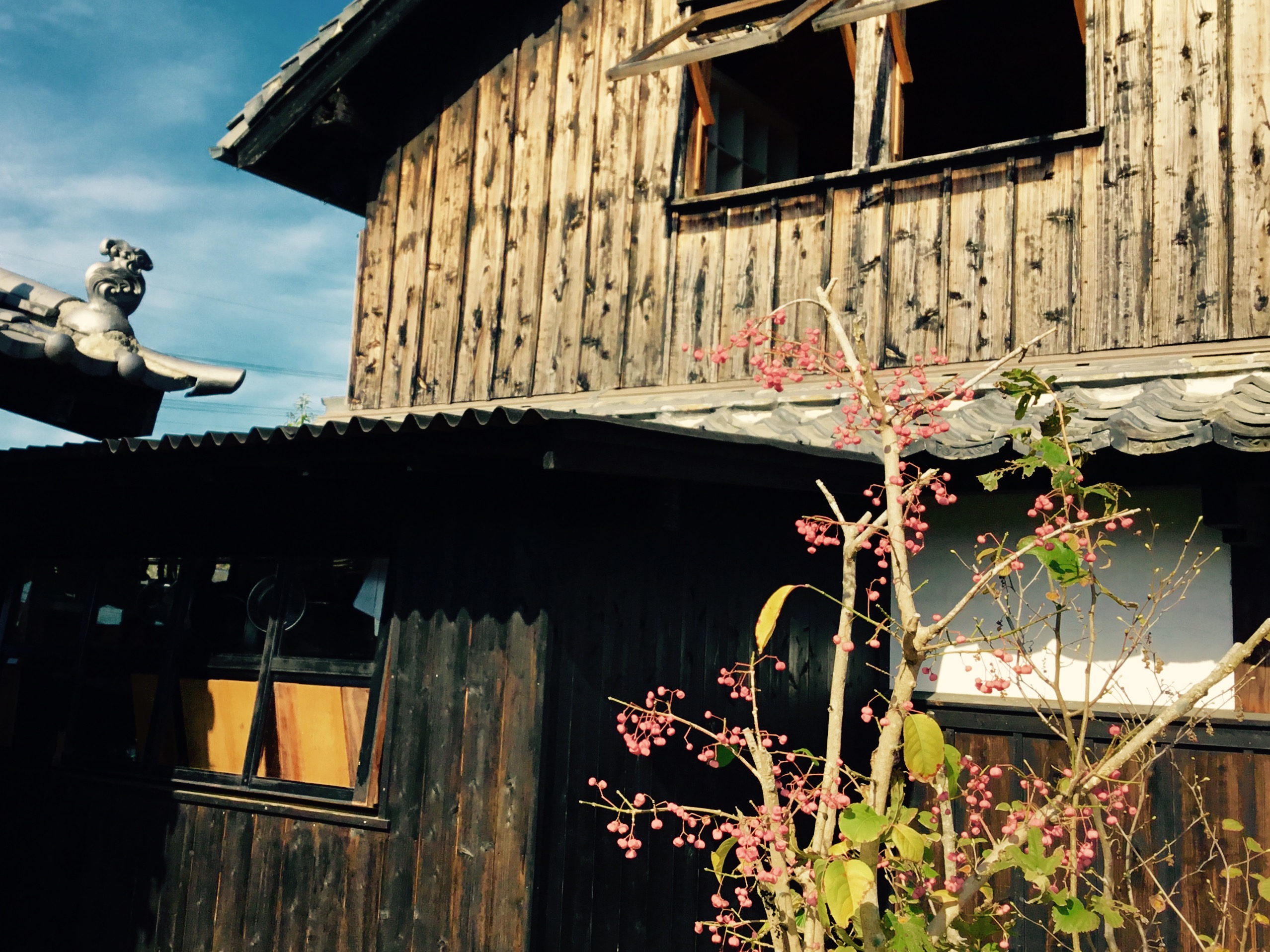 SUMI CAFEと。11月のお知らせ。