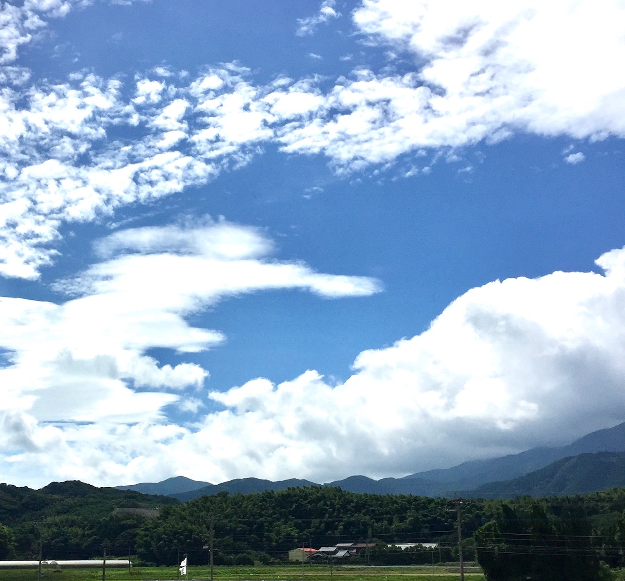 スミカフェからのお知らせ