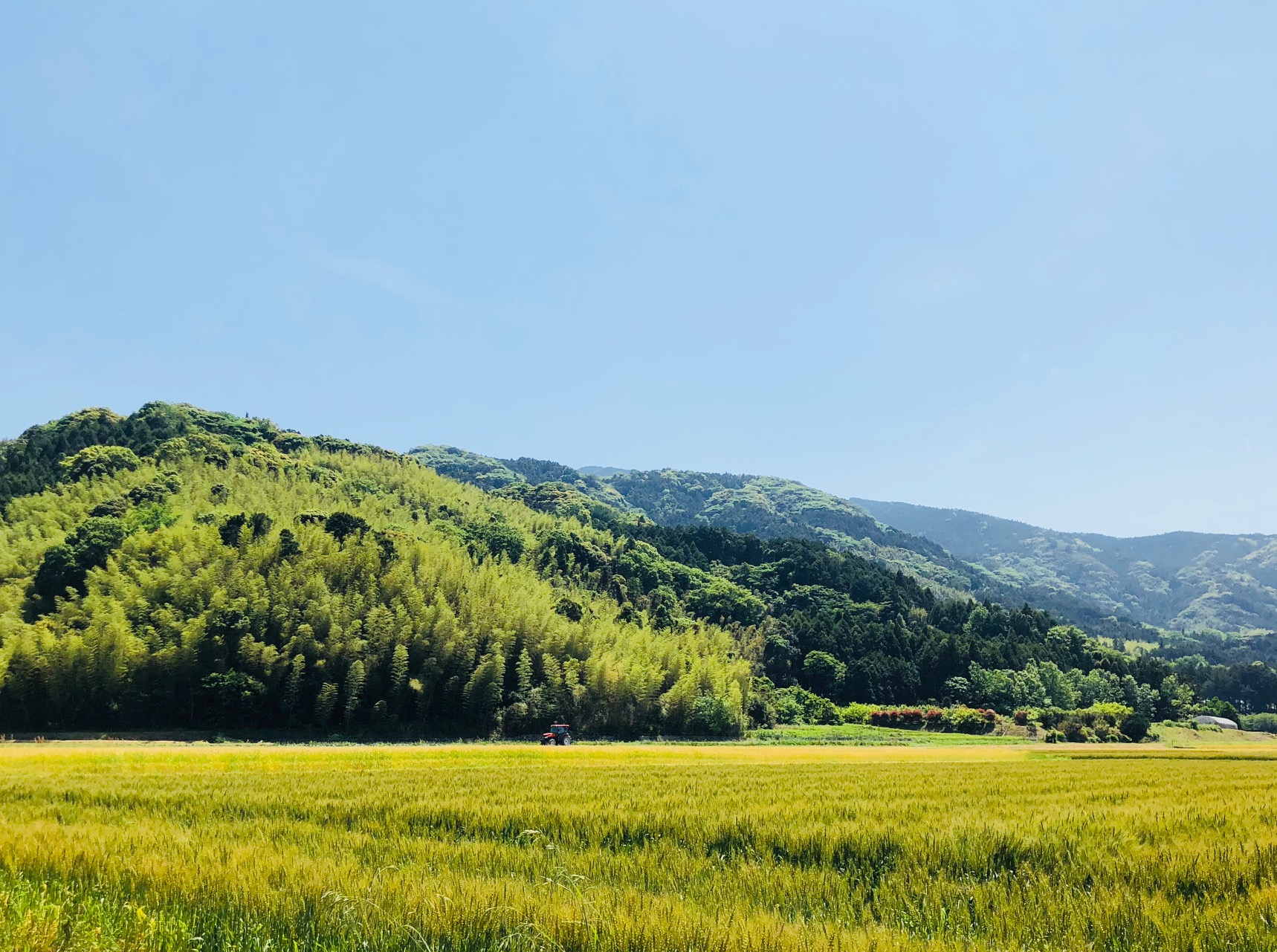 営業日が変更になりました（季節屋、Sumi Cafe）