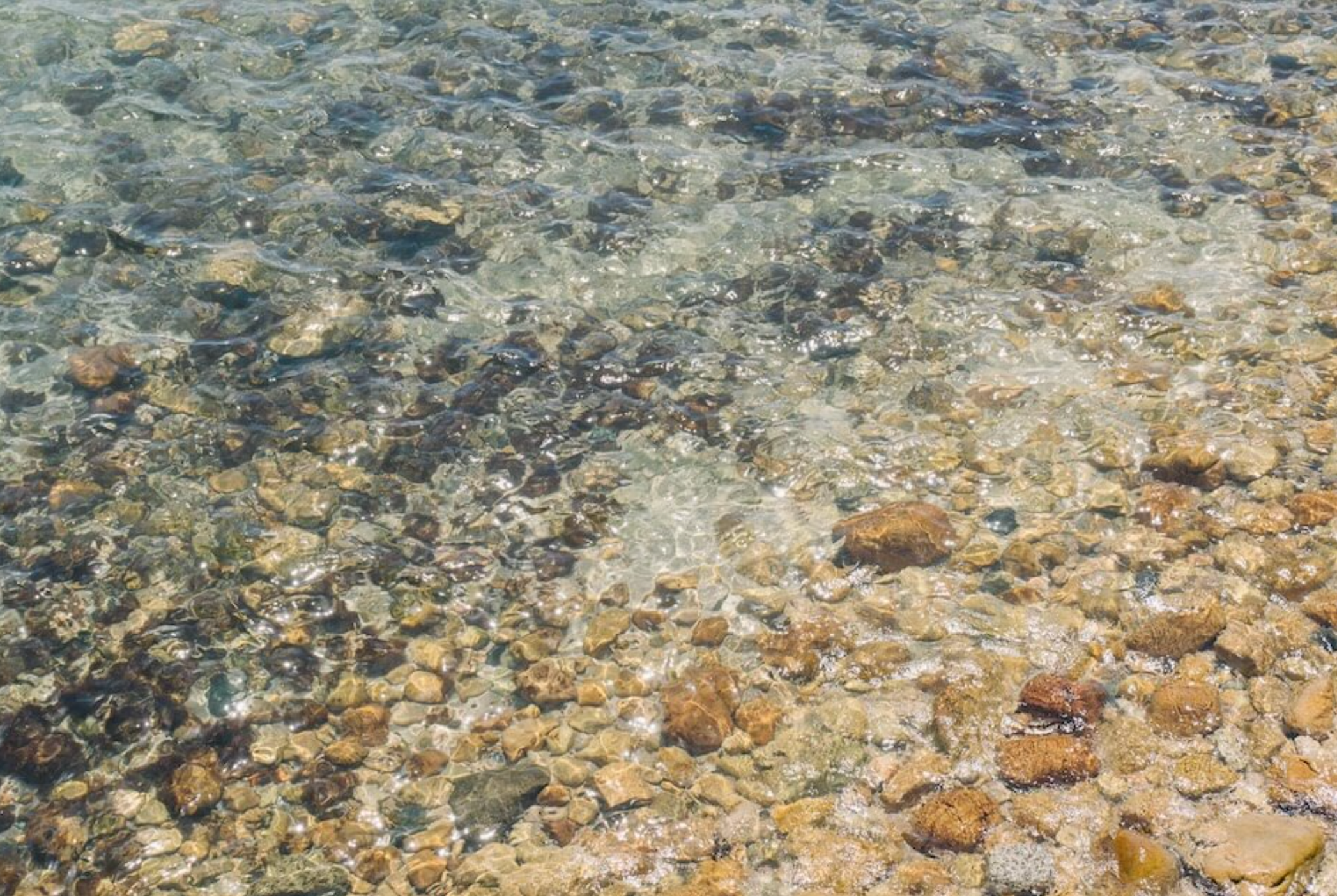 10月の営業案内のお知らせ